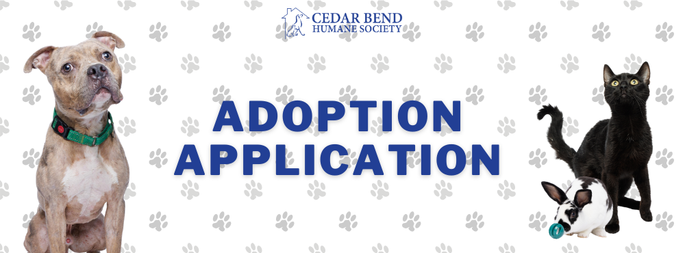 Adoption Application Image