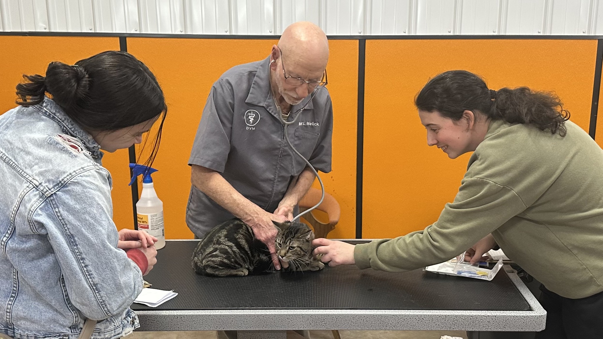 Low-cost vaccine clinic at Cedar Bend Humane Society