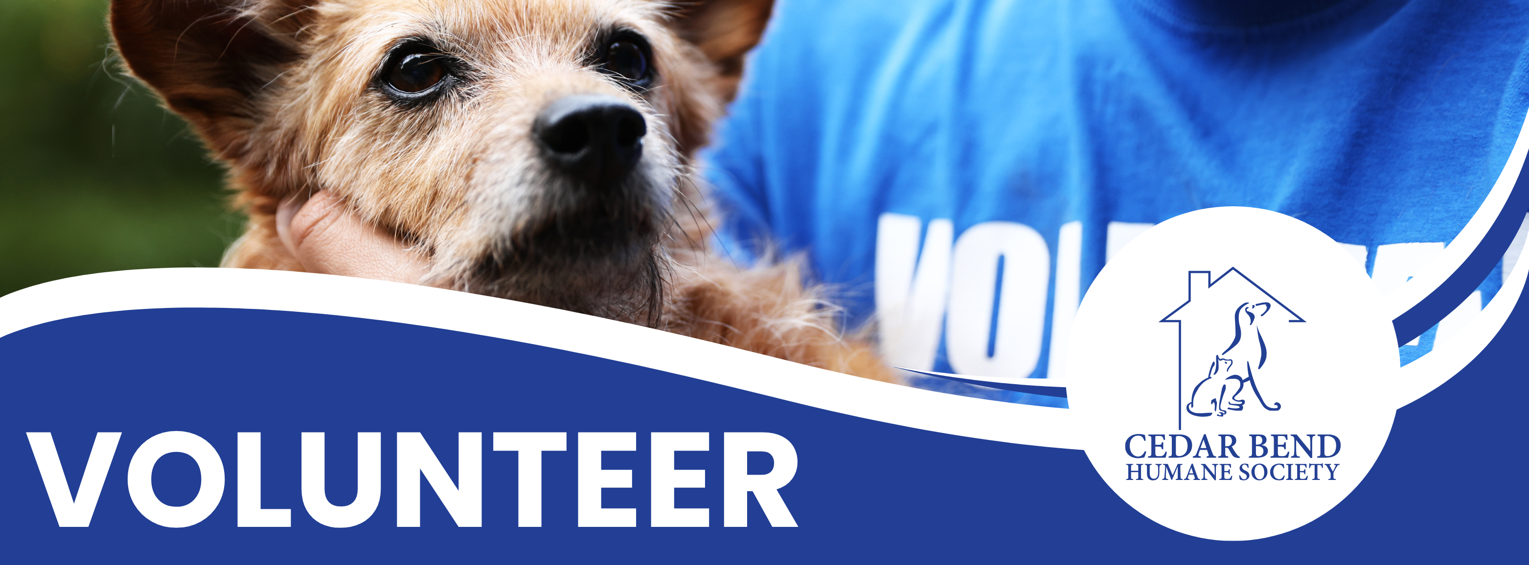 FB and Website Covers (2)