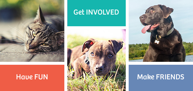 cedar bend humane society dogs