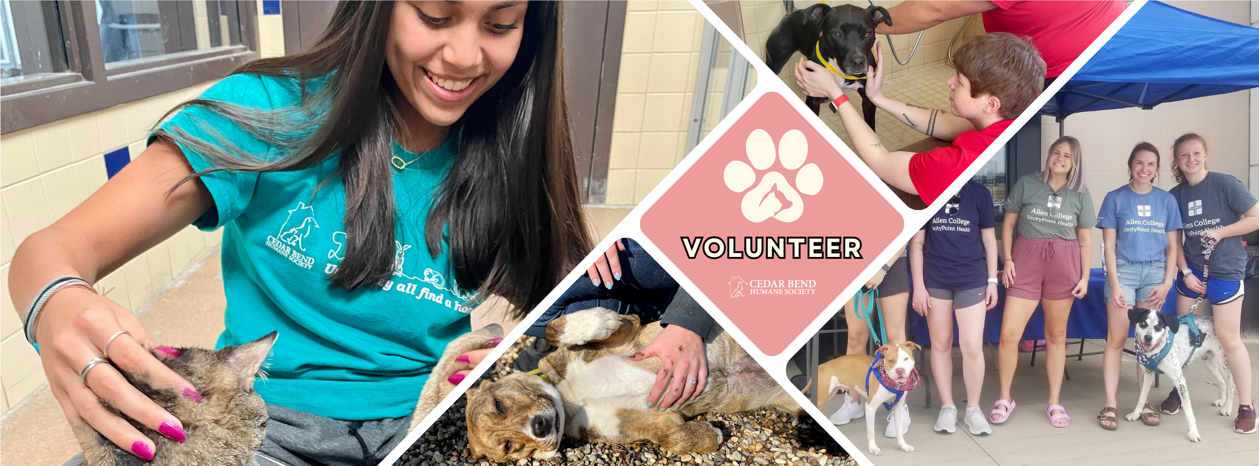 Indoor Cat Services (1)