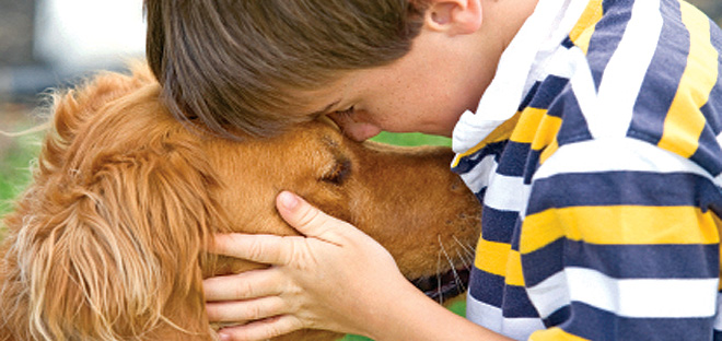 Little boy and a dog