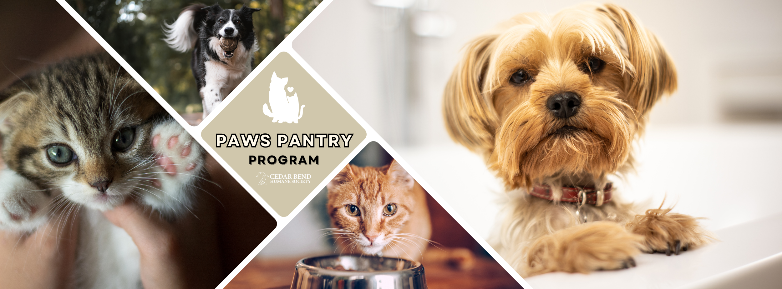 Paws Pantry Program